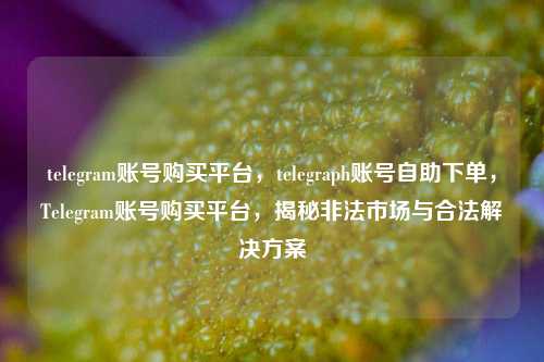 telegram账号购买平台，telegraph账号自助下单，Telegram账号购买平台，揭秘非法市场与合法解决方案