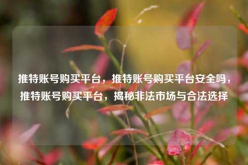 推特账号购买平台，推特账号购买平台安全吗，推特账号购买平台	，揭秘非法市场与合法选择  第1张