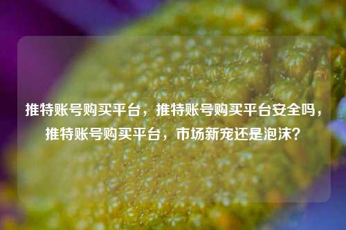 推特账号购买平台，推特账号购买平台安全吗，推特账号购买平台，市场新宠还是泡沫？