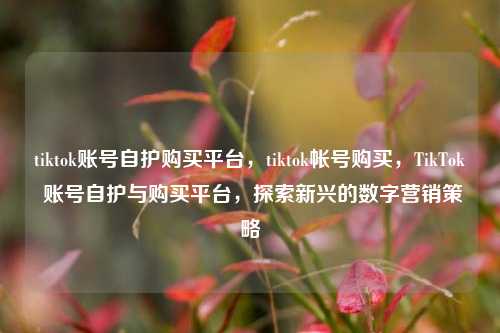 tiktok账号自护购买平台，tiktok帐号购买，TikTok 账号自护与购买平台，探索新兴的数字营销策略