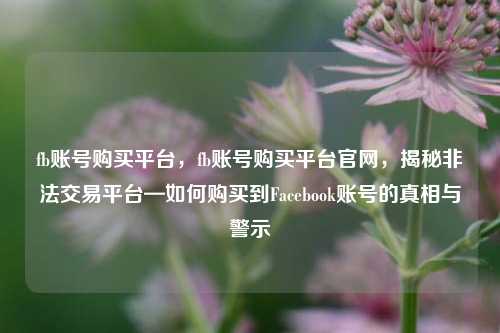 fb账号购买平台，fb账号购买平台官网，揭秘非法交易平台—如何购买到Facebook账号的真相与警示