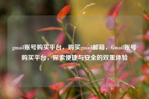gmail账号购买平台，购买gmail邮箱，Gmail账号购买平台，探索便捷与安全的双重体验