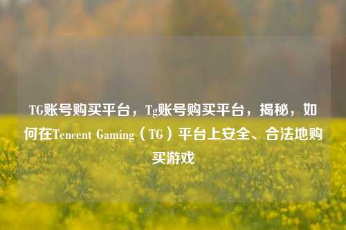 TG账号购买平台，Tg账号购买平台，揭秘，如何在Tencent Gaming（TG）平台上安全、合法地购买游戏