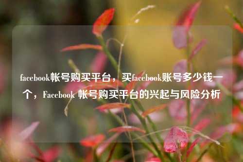 facebook帐号购买平台，买facebook账号多少钱一个，Facebook 帐号购买平台的兴起与风险分析