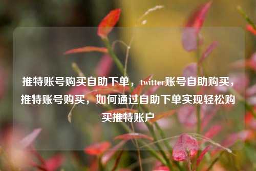 推特账号购买自助下单，twitter账号自助购买，推特账号购买，如何通过自助下单实现轻松购买推特账户