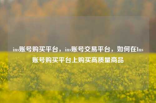 ins账号购买平台，ins账号交易平台，如何在Ins账号购买平台上购买高质量商品
