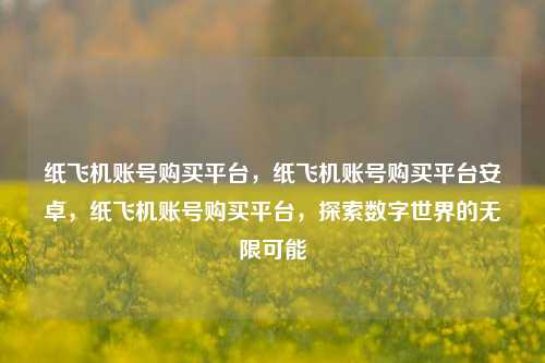 纸飞机账号购买平台，纸飞机账号购买平台安卓，纸飞机账号购买平台，探索数字世界的无限可能