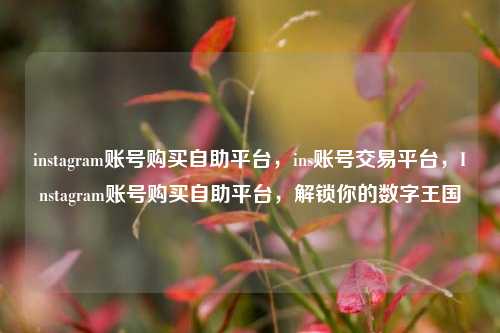 instagram账号购买自助平台，ins账号交易平台，Instagram账号购买自助平台，解锁你的数字王国