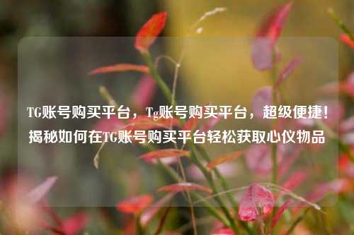 TG账号购买平台，Tg账号购买平台，超级便捷！揭秘如何在TG账号购买平台轻松获取心仪物品