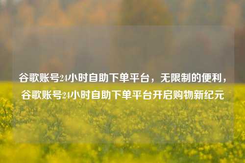 谷歌账号24小时自助下单平台，无限制的便利，谷歌账号24小时自助下单平台开启购物新纪元