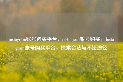 instagram账号购买平台，instagram帐号购买，Instagram账号购买平台，探索合法与不法途径