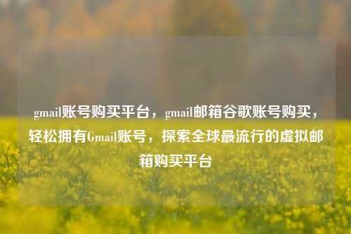 gmail账号购买平台，gmail邮箱谷歌账号购买，轻松拥有Gmail账号，探索全球最流行的虚拟邮箱购买平台