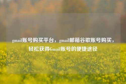 gmail账号购买平台，gmail邮箱谷歌账号购买，轻松获得Gmail账号的便捷途径
