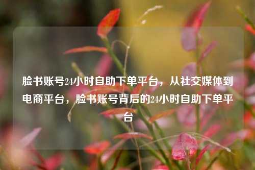 脸书账号24小时自助下单平台，从社交媒体到电商平台，脸书账号背后的24小时自助下单平台