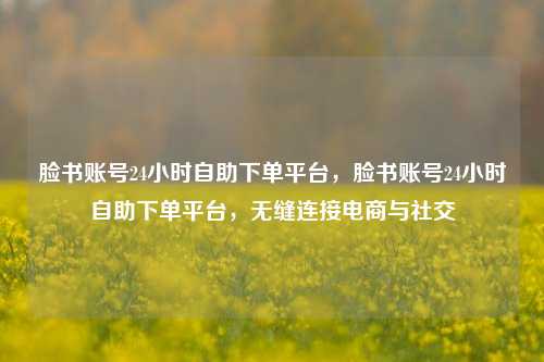 脸书账号24小时自助下单平台，脸书账号24小时自助下单平台，无缝连接电商与社交