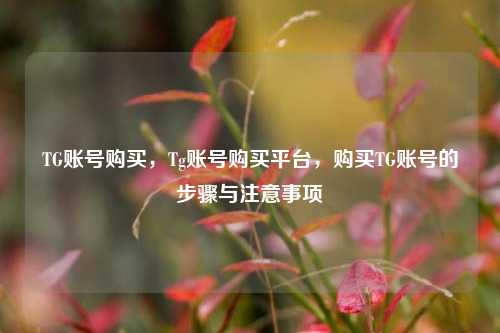 TG账号购买，Tg账号购买平台，购买TG账号的步骤与注意事项
