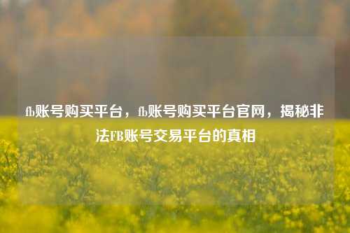 fb账号购买平台，fb账号购买平台官网，揭秘非法FB账号交易平台的真相