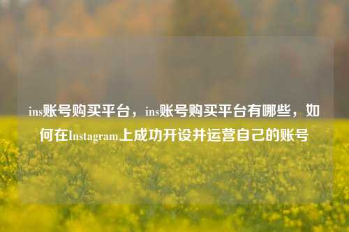ins账号购买平台，ins账号购买平台有哪些，如何在Instagram上成功开设并运营自己的账号