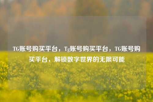 TG账号购买平台，Tg账号购买平台，TG账号购买平台，解锁数字世界的无限可能