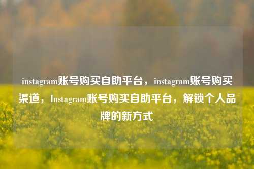 instagram账号购买自助平台，instagram账号购买渠道，Instagram账号购买自助平台，解锁个人品牌的新方式