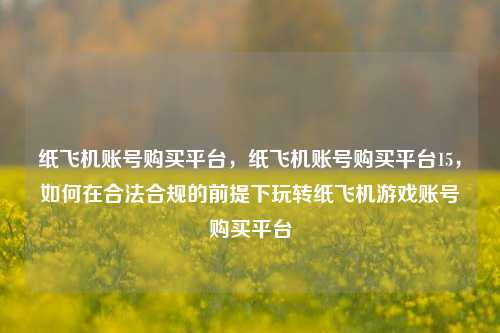 纸飞机账号购买平台，纸飞机账号购买平台15，如何在合法合规的前提下玩转纸飞机游戏账号购买平台