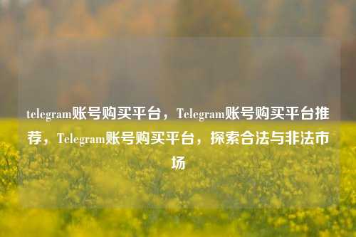 telegram账号购买平台，Telegram账号购买平台推荐，Telegram账号购买平台，探索合法与非法市场