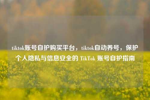 tiktok账号自护购买平台，tiktok自动养号，保护个人隐私与信息安全的 TikTok 账号自护指南