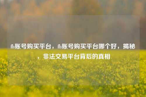 fb账号购买平台，fb账号购买平台哪个好，揭秘，非法交易平台背后的真相