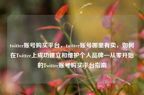twitter账号购买平台，twitter账号哪里有卖，如何在Twitter上成功建立和维护个人品牌—从零开始的Twitter账号购买平台指南