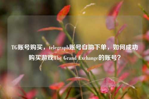 TG账号购买，telegraph账号自助下单，如何成功购买游戏The Grand Exchange的账号？