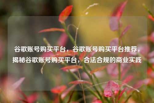 谷歌账号购买平台，谷歌账号购买平台推荐，揭秘谷歌账号购买平台，合法合规的商业实践