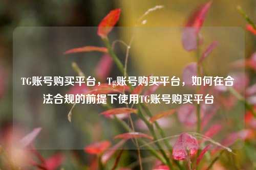 TG账号购买平台，Tg账号购买平台，如何在合法合规的前提下使用TG账号购买平台