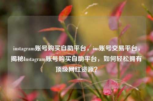instagram账号购买自助平台，ins账号交易平台，揭秘Instagram账号购买自助平台，如何轻松拥有顶级网红资源？
