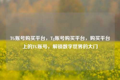 TG账号购买平台，Tg账号购买平台，购买平台上的TG账号，解锁数字世界的大门