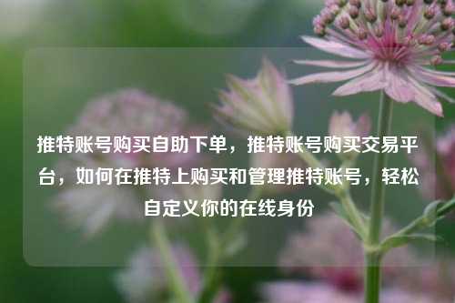推特账号购买自助下单，推特账号购买交易平台，如何在推特上购买和管理推特账号，轻松自定义你的在线身份
