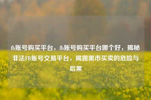 fb账号购买平台	，fb账号购买平台哪个好，揭秘非法FB账号交易平台，揭露黑市买卖的危险与后果  第1张