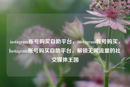 instagram账号购买自助平台，instagram帐号购买，Instagram账号购买自助平台，解锁无限流量的社交媒体王国