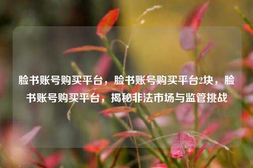 脸书账号购买平台，脸书账号购买平台2块，脸书账号购买平台，揭秘非法市场与监管挑战