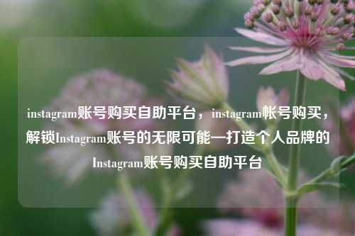 instagram账号购买自助平台，instagram帐号购买，解锁Instagram账号的无限可能—打造个人品牌的Instagram账号购买自助平台
