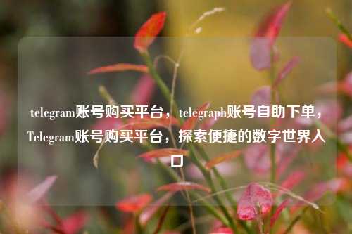 telegram账号购买平台，telegraph账号自助下单，Telegram账号购买平台，探索便捷的数字世界入口