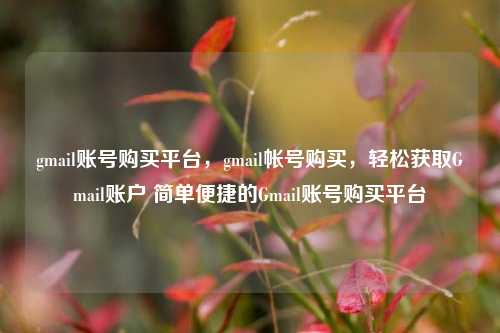 gmail账号购买平台，gmail帐号购买，轻松获取Gmail账户 简单便捷的Gmail账号购买平台