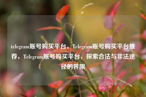 telegram账号购买平台，Telegram账号购买平台推荐，Telegram账号购买平台，探索合法与非法途径的界限