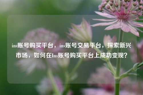 ins账号购买平台	，ins账号交易平台，探索新兴市场，如何在Ins账号购买平台上成功变现？  第1张