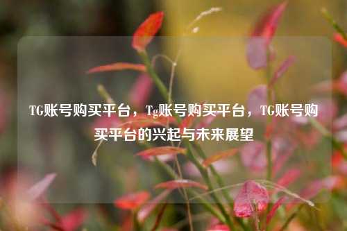 TG账号购买平台，Tg账号购买平台，TG账号购买平台的兴起与未来展望  第1张