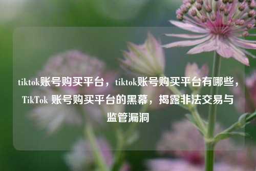 tiktok账号购买平台，tiktok账号购买平台有哪些，TikTok 账号购买平台的黑幕，揭露非法交易与监管漏洞