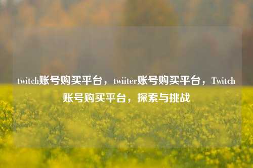 twitch账号购买平台，twiiter账号购买平台，Twitch账号购买平台，探索与挑战