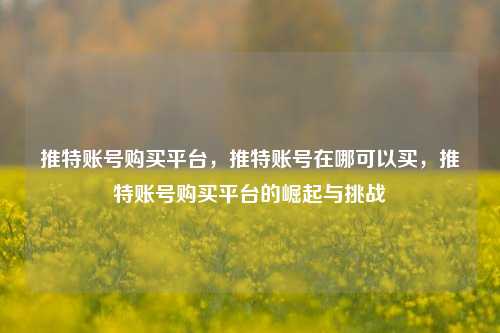 推特账号购买平台，推特账号在哪可以买，推特账号购买平台的崛起与挑战
