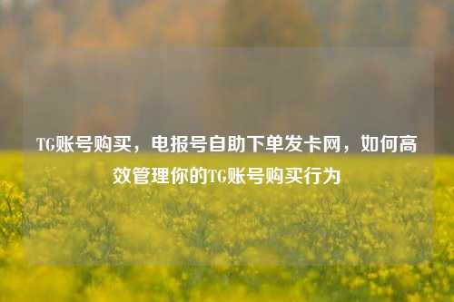 TG账号购买，电报号自助下单发卡网，如何高效管理你的TG账号购买行为
