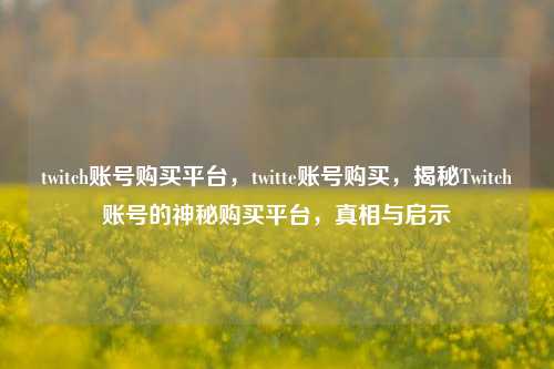 twitch账号购买平台，twitte账号购买，揭秘Twitch账号的神秘购买平台，真相与启示