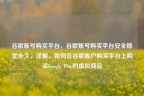 谷歌账号购买平台，谷歌账号购买平台安全稳定永久，详解，如何在谷歌账户购买平台上购买Google Play的虚拟商品